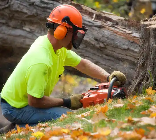 tree services Hanover